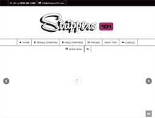 Tablet Screenshot of denverpartystripper.com